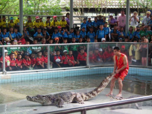 Bangkok Crocodile Farm