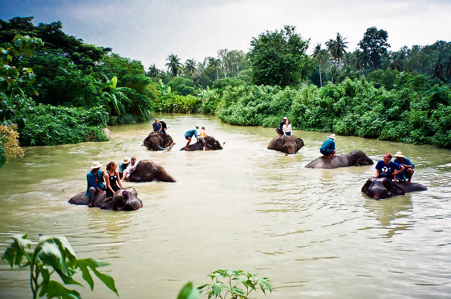Elephant Village