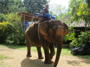 Kayaking Bor Thor + Elephant Trekking