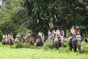 Khao Sok Jungle Safari