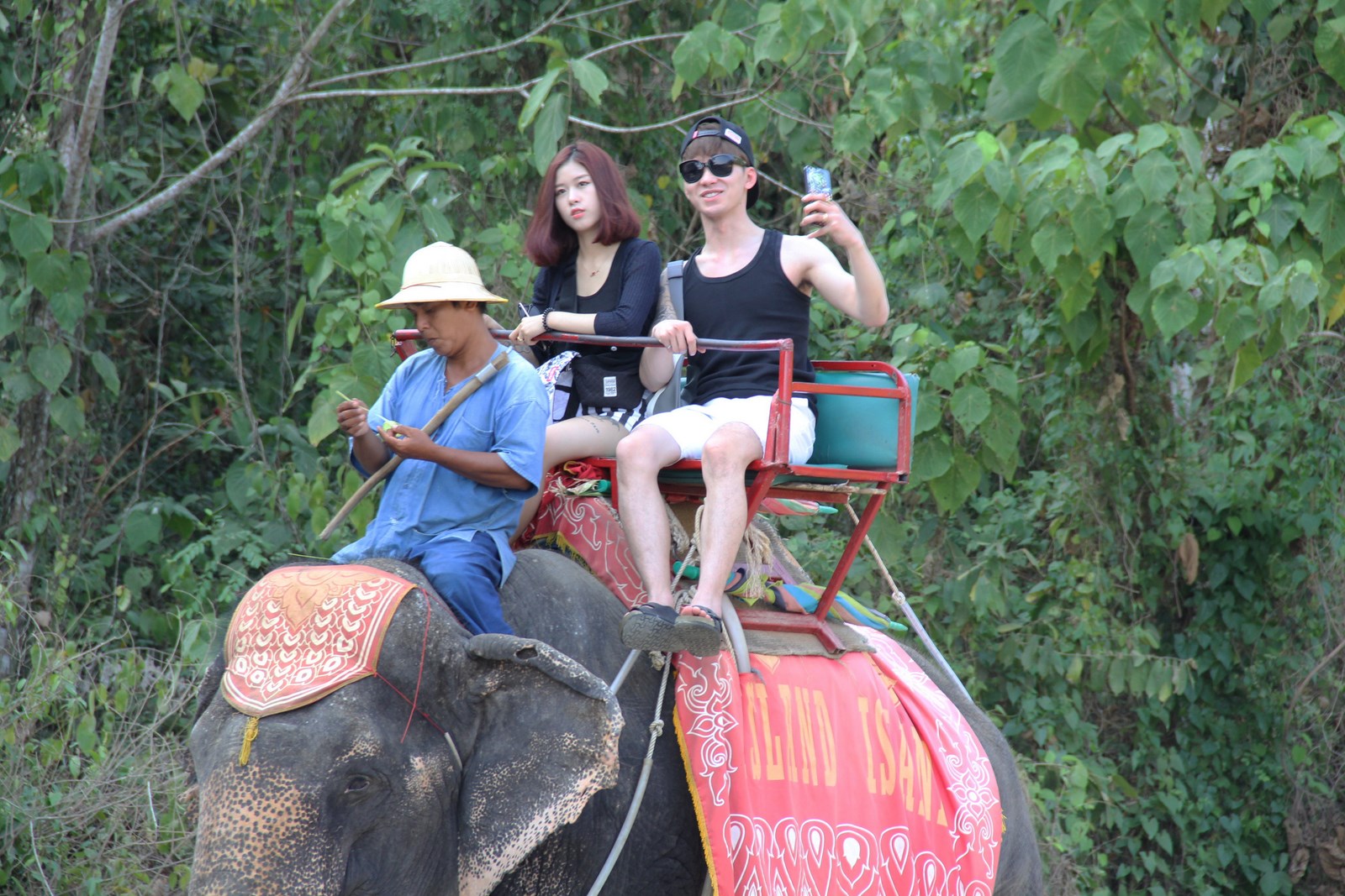 Safari Tour Program C (7in1) No Lunch
