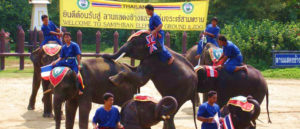 Floating Market Bangkok with Elephant Theme Show and Crocodile Farm