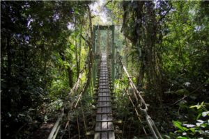 Khao Yai National Park