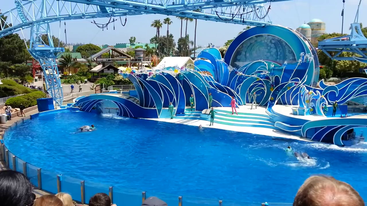 Pattaya Dolphine World