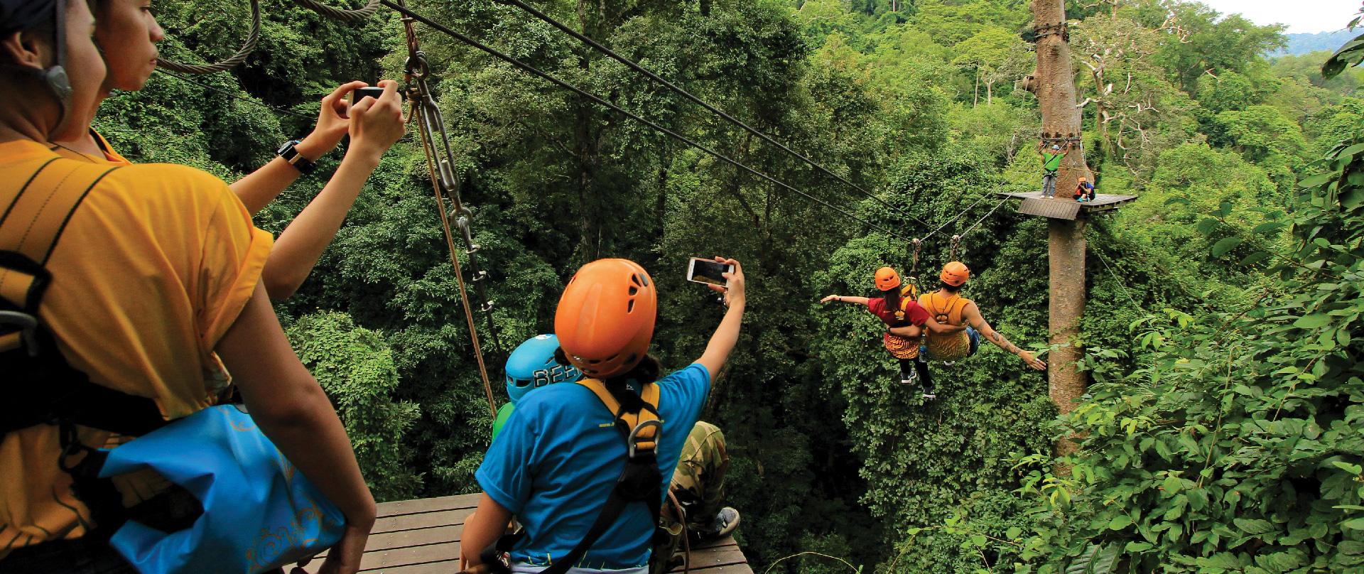 Flight of the Gibbon